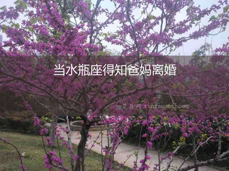 當(dāng)水瓶座得知爸媽離婚