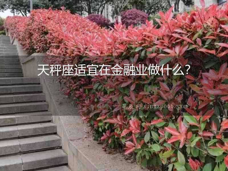 天秤座適宜在金融業做什么？