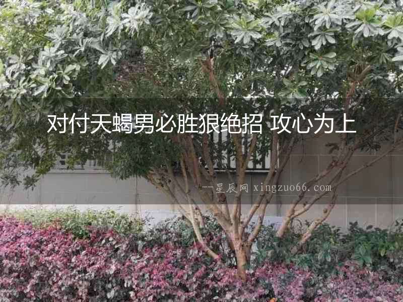 對付天蝎男必勝狠絕招 攻心為上
