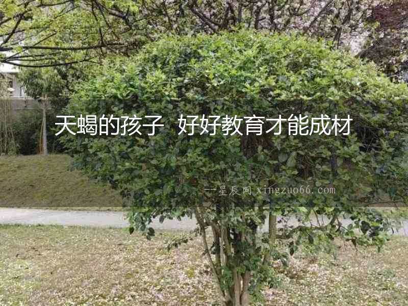 天蝎的孩子  好好教育才能成材