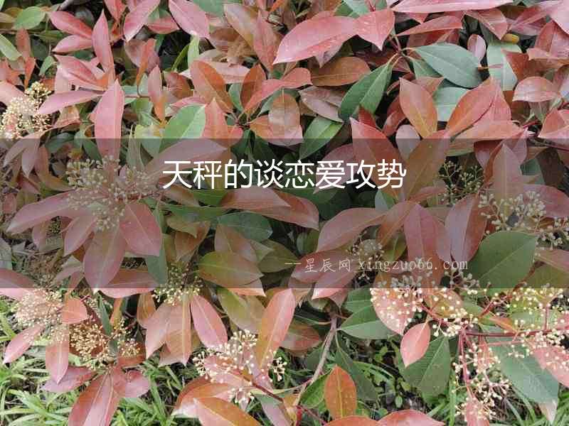 天秤的談戀愛(ài)攻勢(shì)