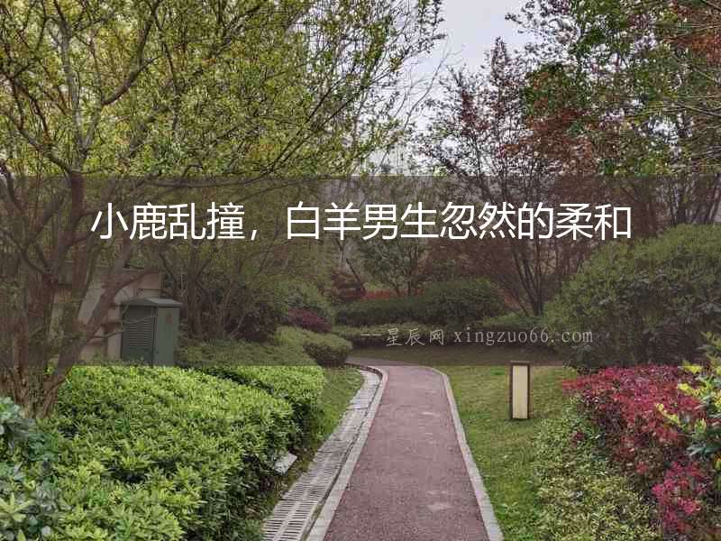 小鹿亂撞，白羊男生忽然的柔和