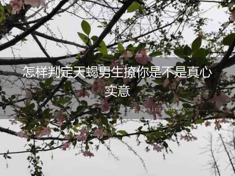 怎樣判定天蝎男生撩你是不是真心實意