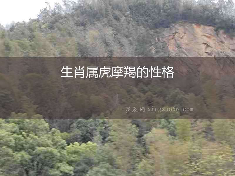生肖屬虎摩羯的性格