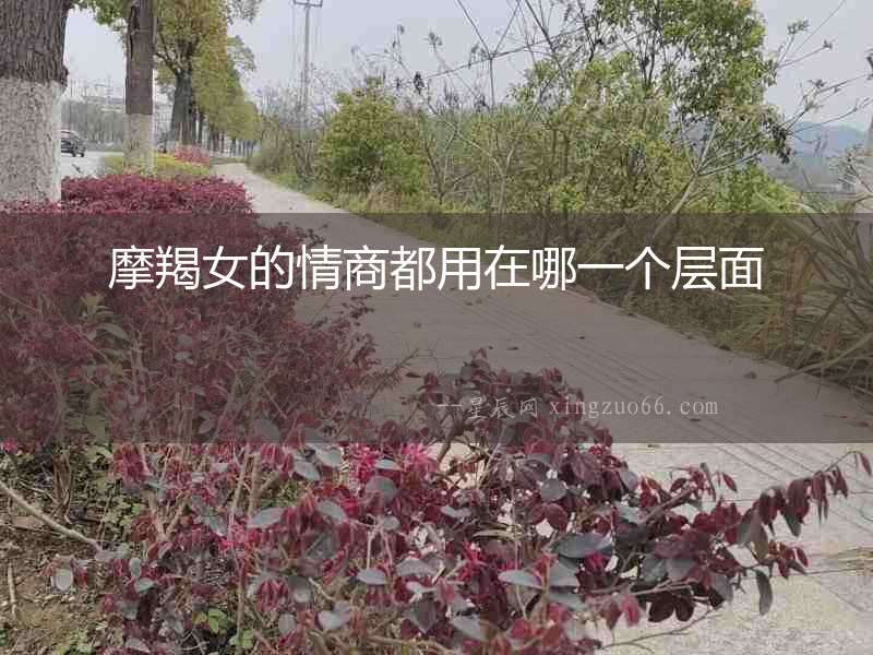 摩羯女的情商都用在哪一個層面