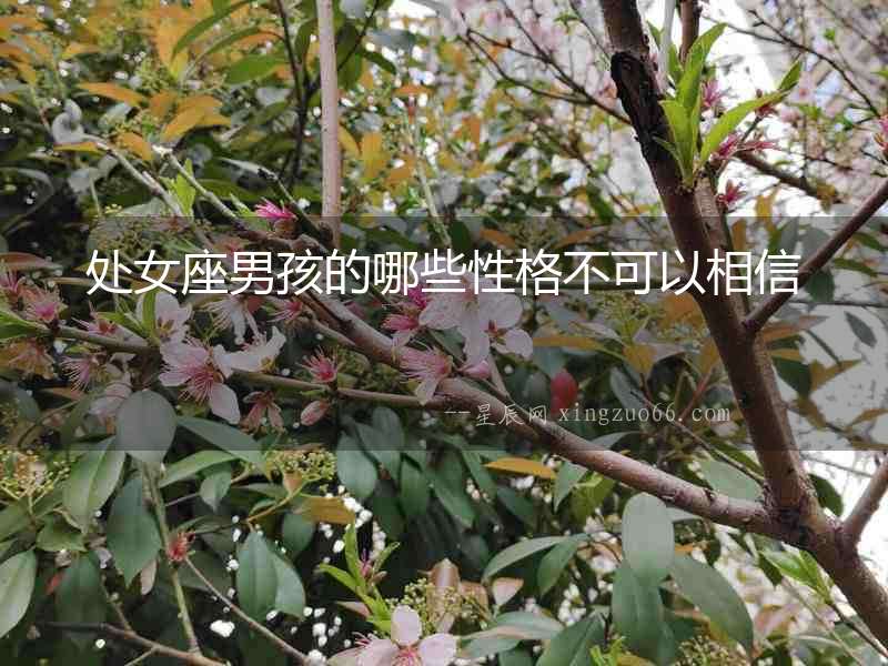處女座男孩的哪些性格不可以相信