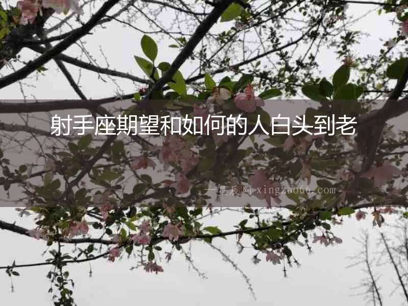 射手座期望和如何的人白頭到老