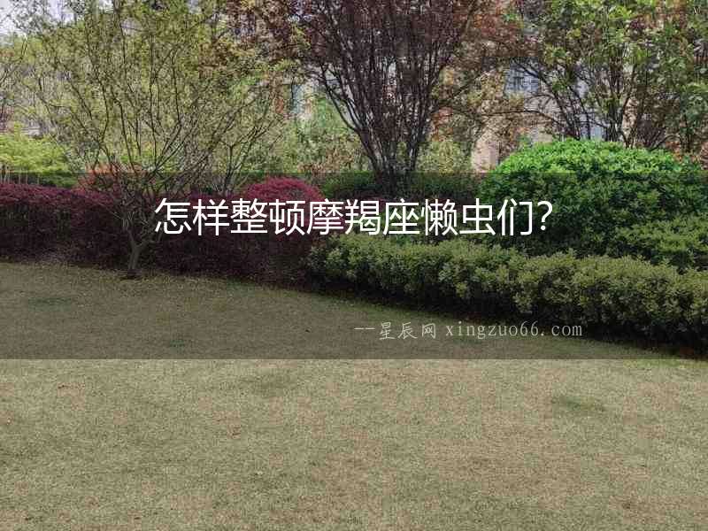 怎樣整頓摩羯座懶蟲們？