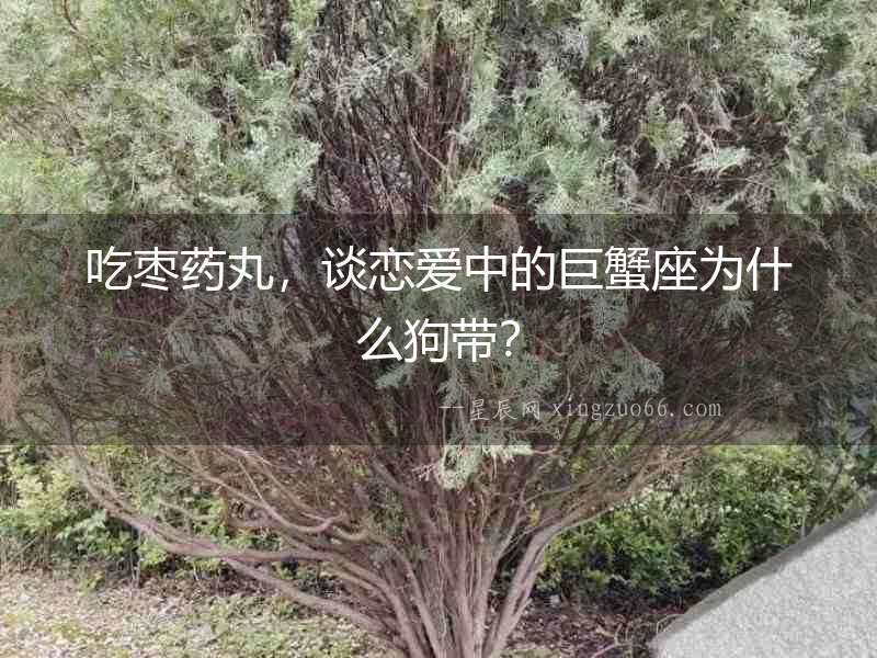 吃棗藥丸，談戀愛中的巨蟹座為什么狗帶？