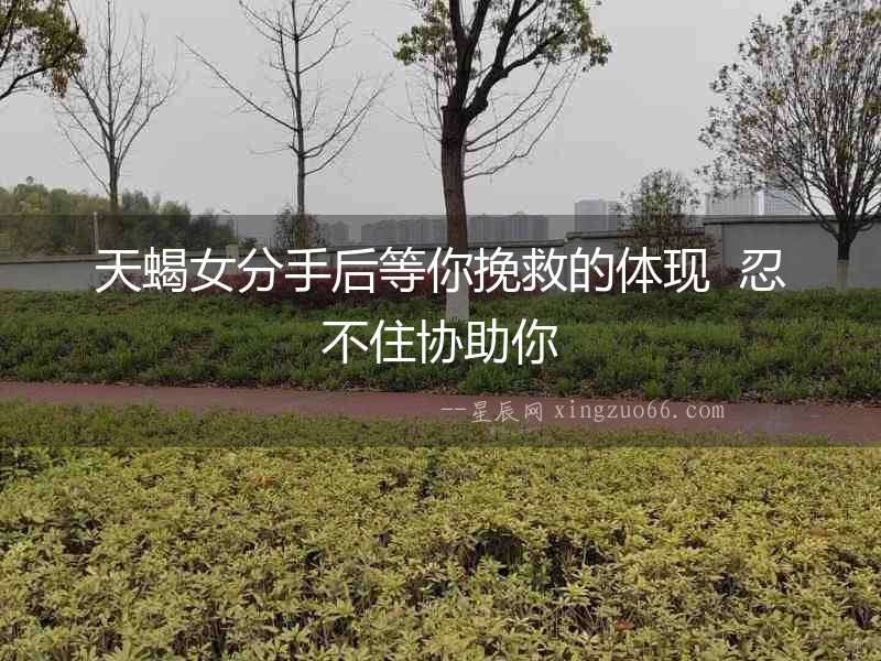 天蝎女分手后等你挽救的體現(xiàn)  忍不住協(xié)助你