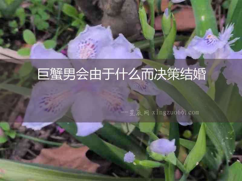 巨蟹男會由于什么而決策結婚