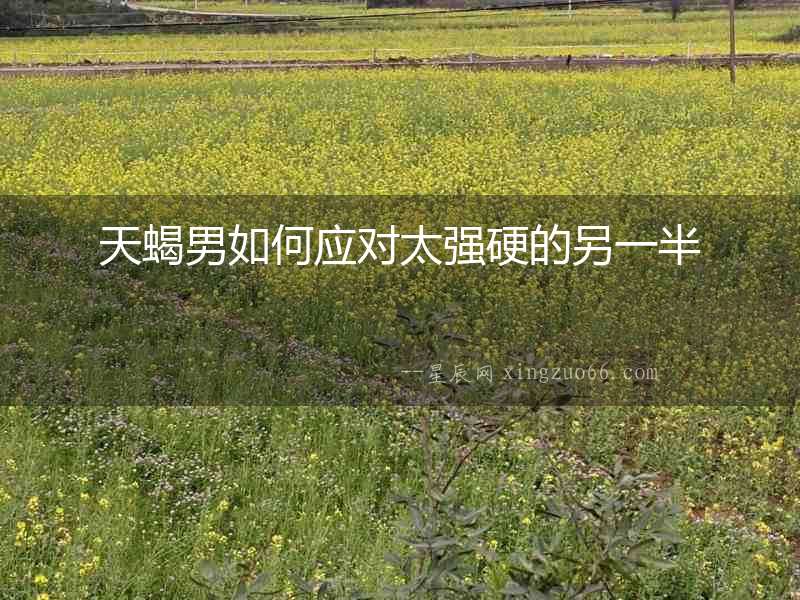 天蝎男如何應對太強硬的另一半