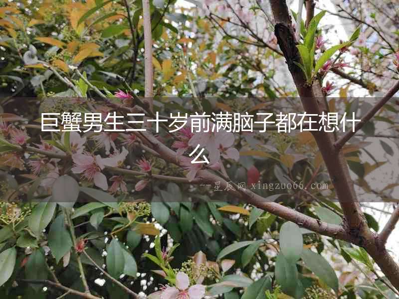 巨蟹男生三十歲前滿腦子都在想什么