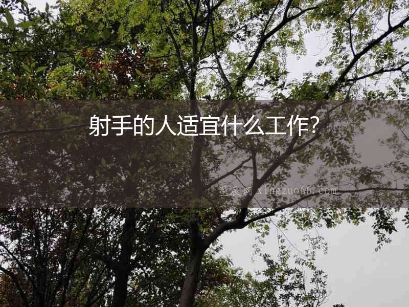 射手的人適宜什么工作？