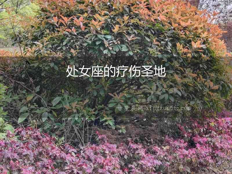 處女座的療傷圣地