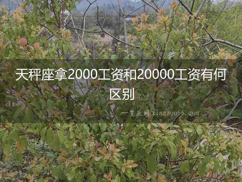 天秤座拿2000工資和20000工資有何區(qū)別