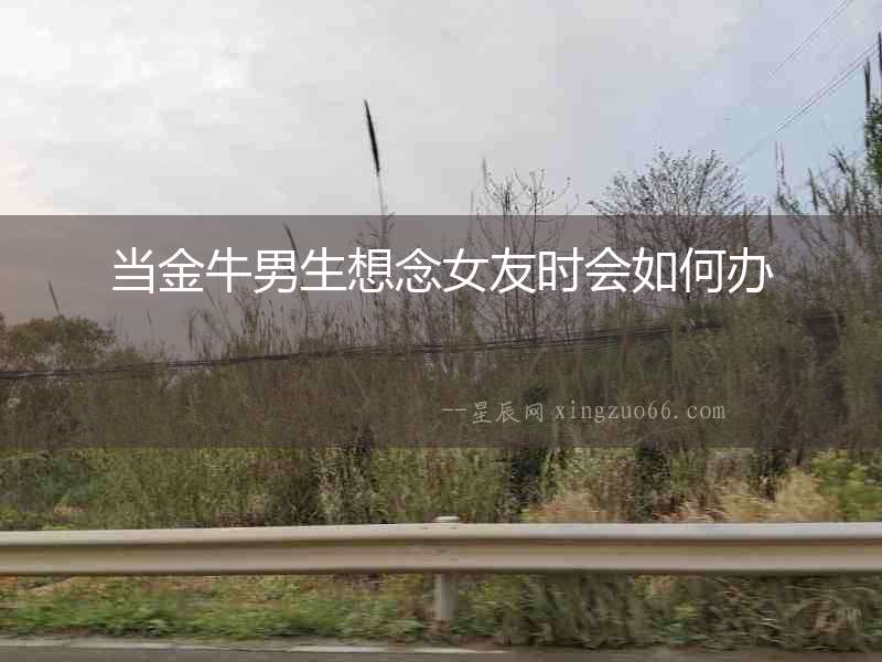 當金牛男生想念女友時會如何辦