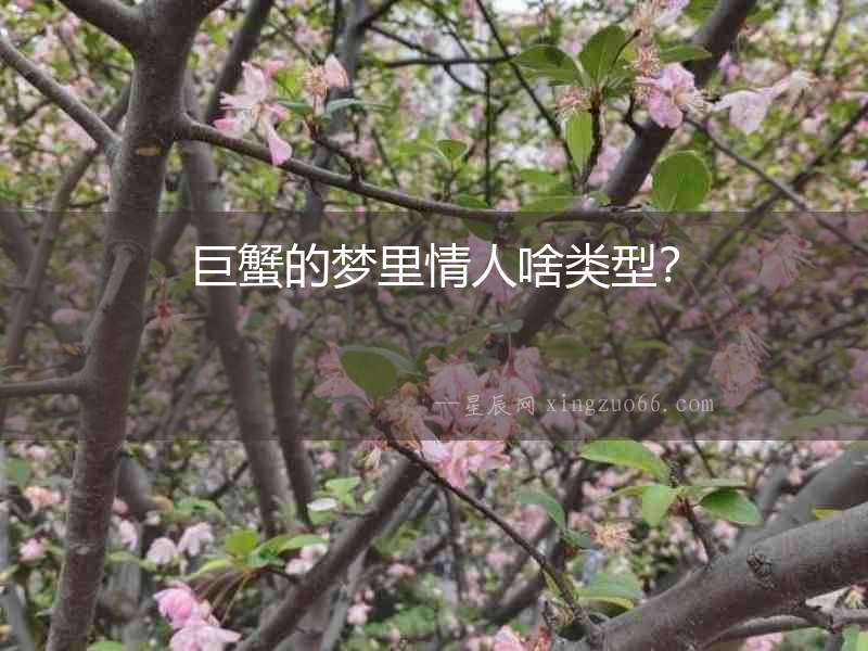 巨蟹的夢里情人啥類型？