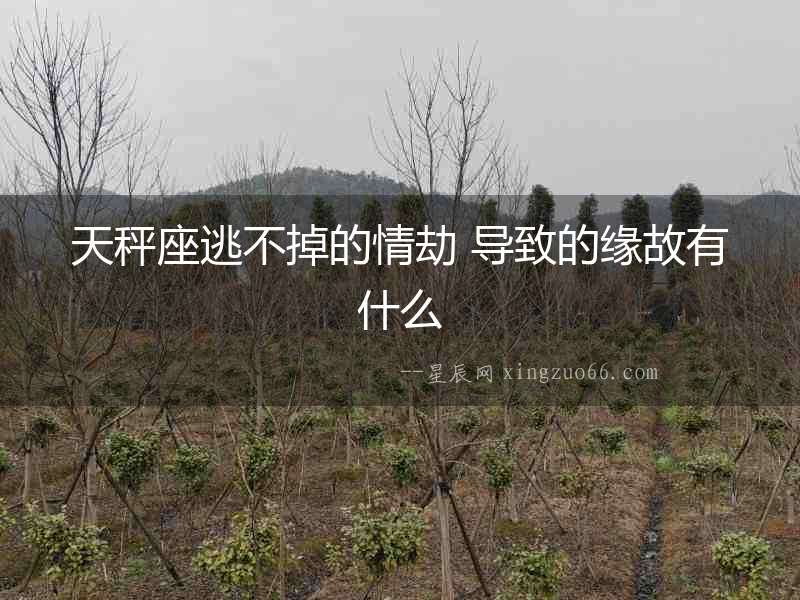 天秤座逃不掉的情劫 導致的緣故有什么