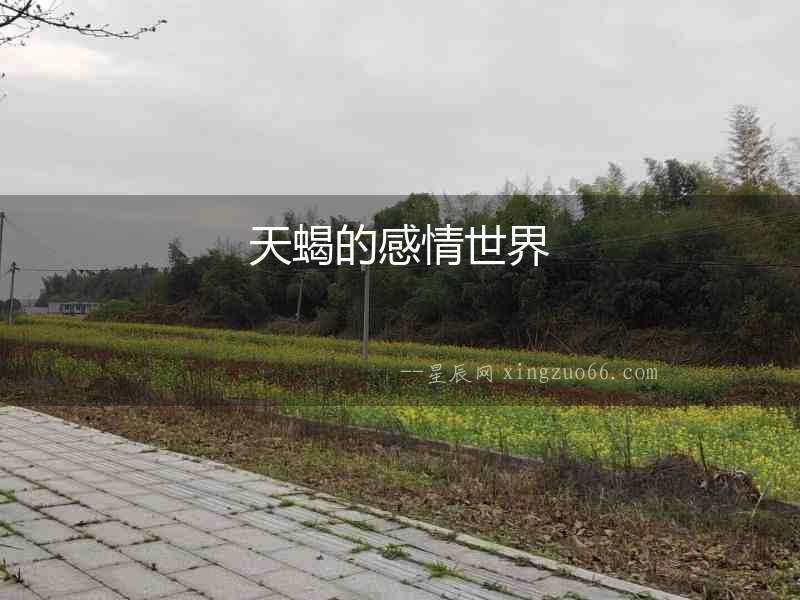 天蝎的感情世界