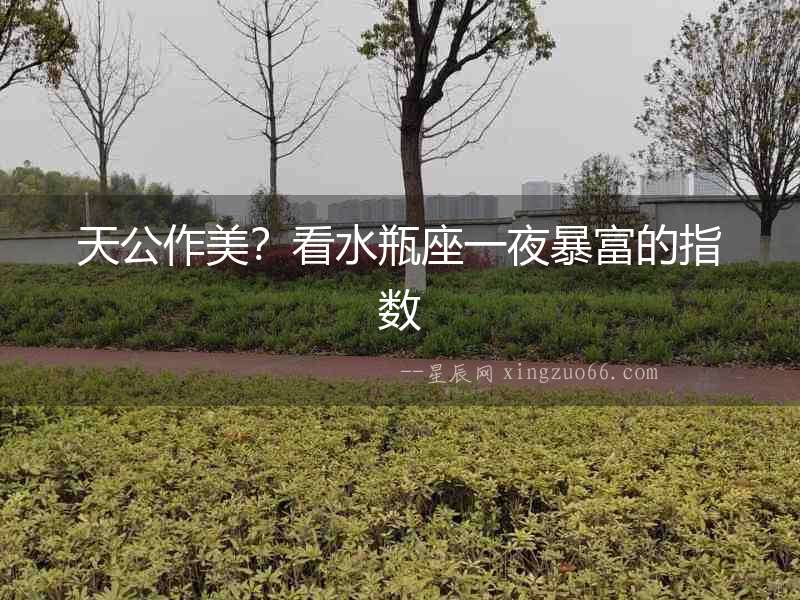 天公作美？看水瓶座一夜暴富的指數