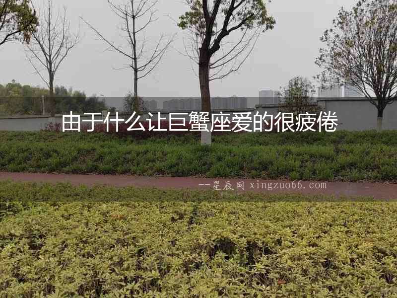 由于什么讓巨蟹座愛的很疲倦
