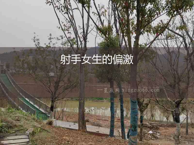 射手女生的偏激
