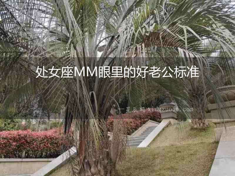 處女座MM眼里的好老公標(biāo)準(zhǔn)