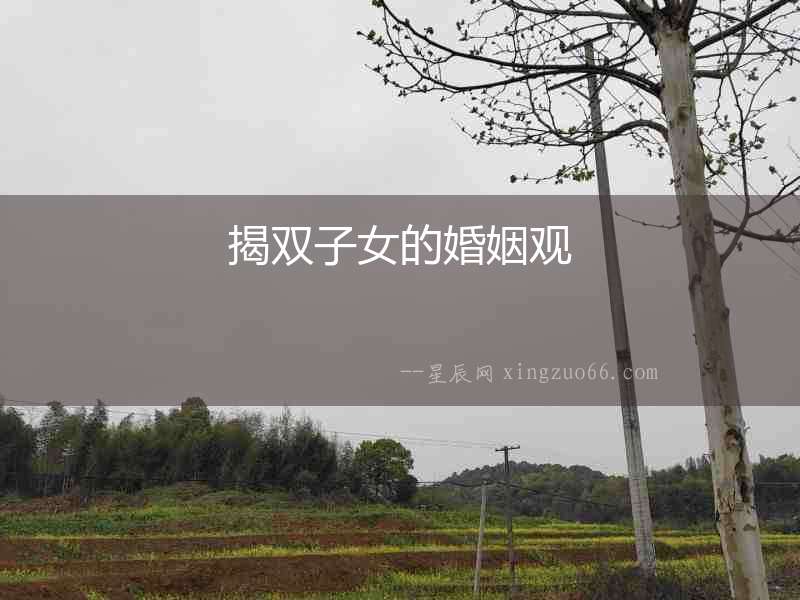 揭雙子女的婚姻觀