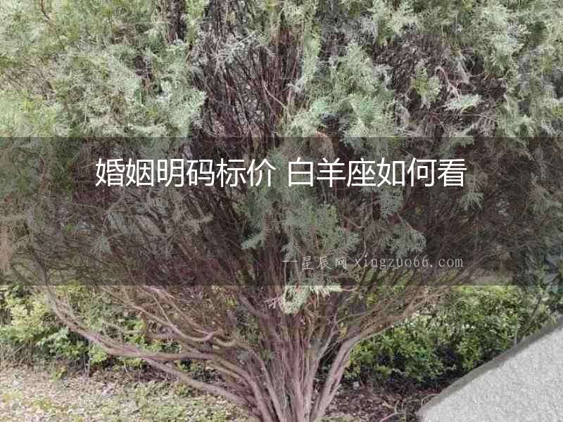 婚姻明碼標價 白羊座如何看