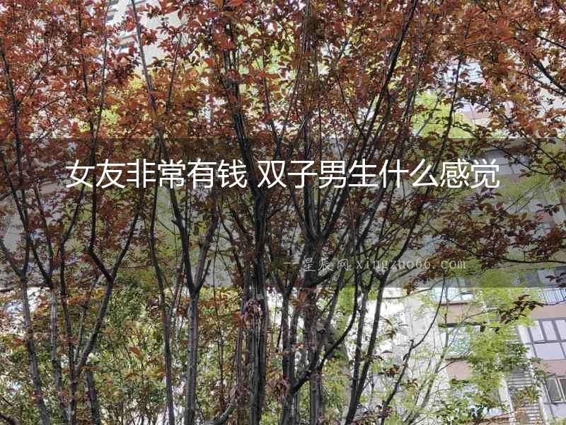女友非常有錢 雙子男生什么感覺