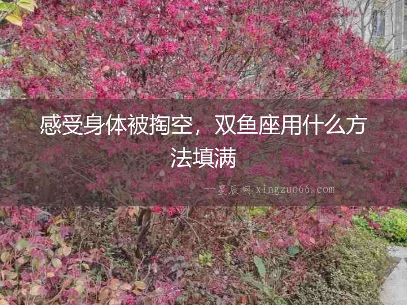 感受身體被掏空，雙魚座用什么方法填滿