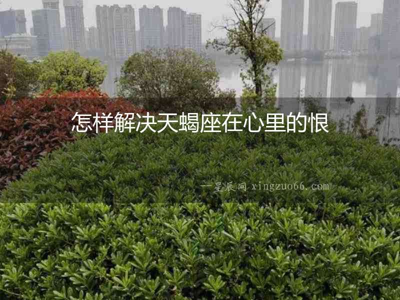 怎樣解決天蝎座在心里的恨