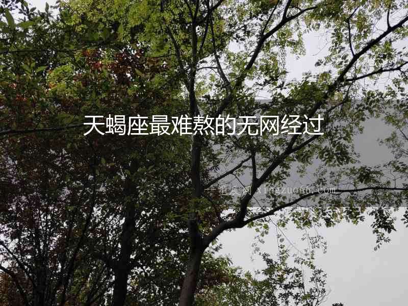 天蝎座最難熬的無網(wǎng)經(jīng)過