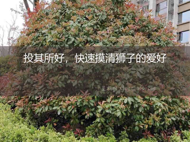 投其所好，快速摸清獅子的愛好