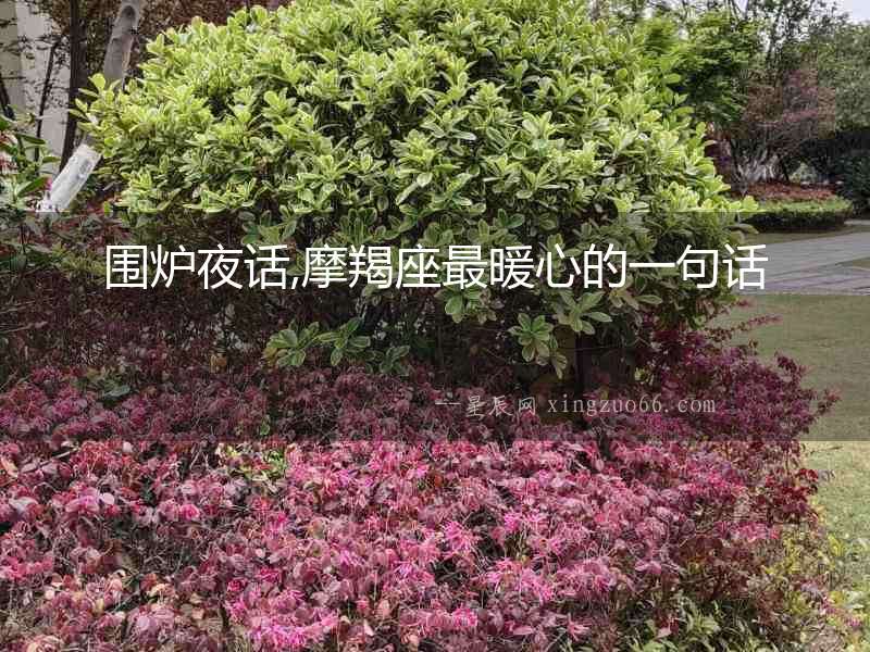 圍爐夜話,摩羯座最暖心的一句話