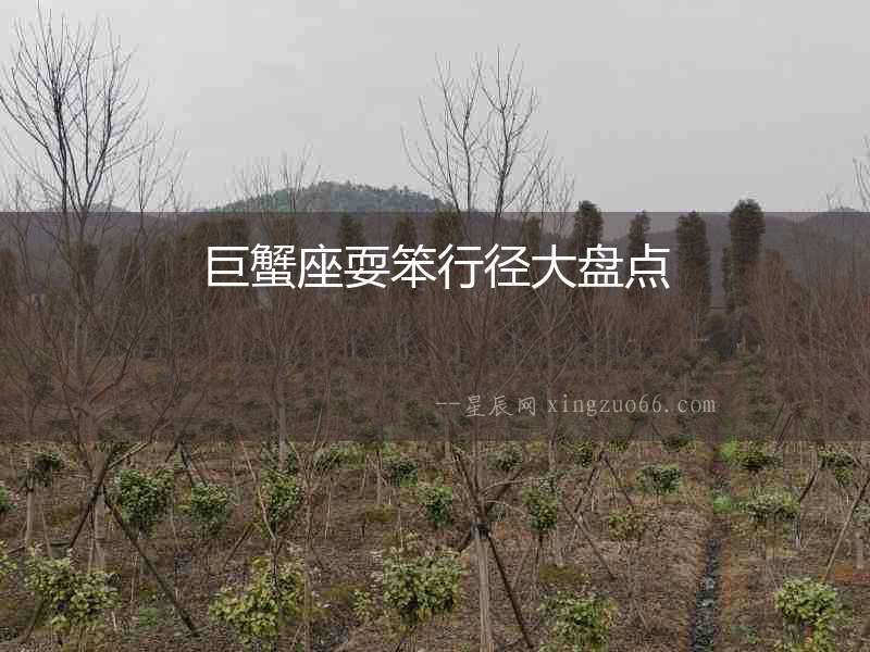 巨蟹座耍笨行徑大盤點(diǎn)