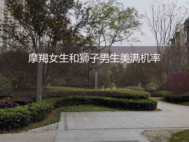 摩羯女生和獅子男生美滿機率