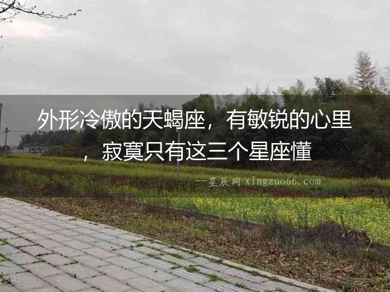 外形冷傲的天蝎座，有敏銳的心里，寂寞只有這三個星座懂