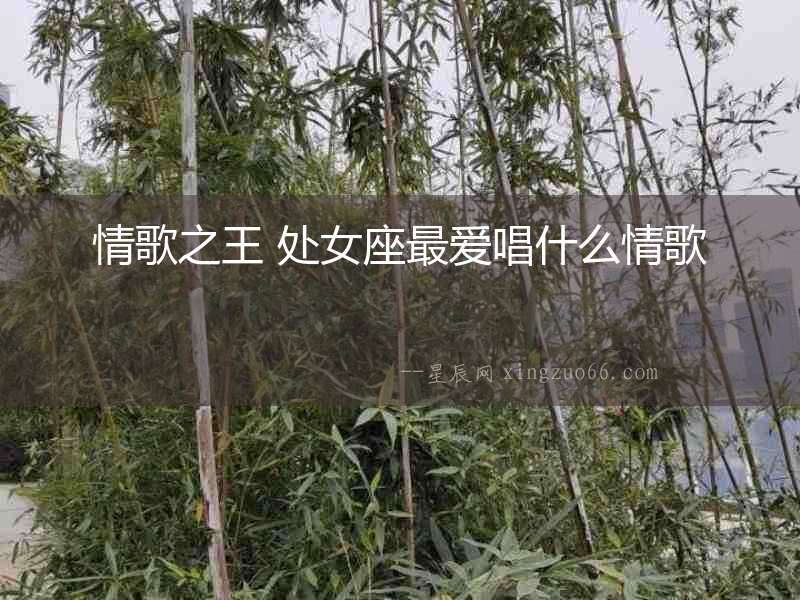 情歌之王 處女座最愛唱什么情歌