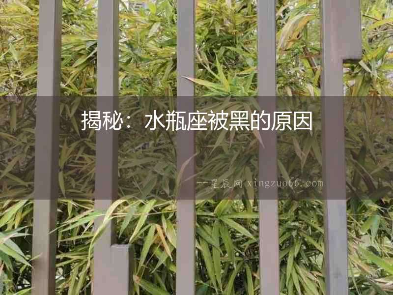 揭秘：水瓶座被黑的原因