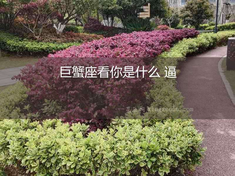 巨蟹座看你是什么 逼