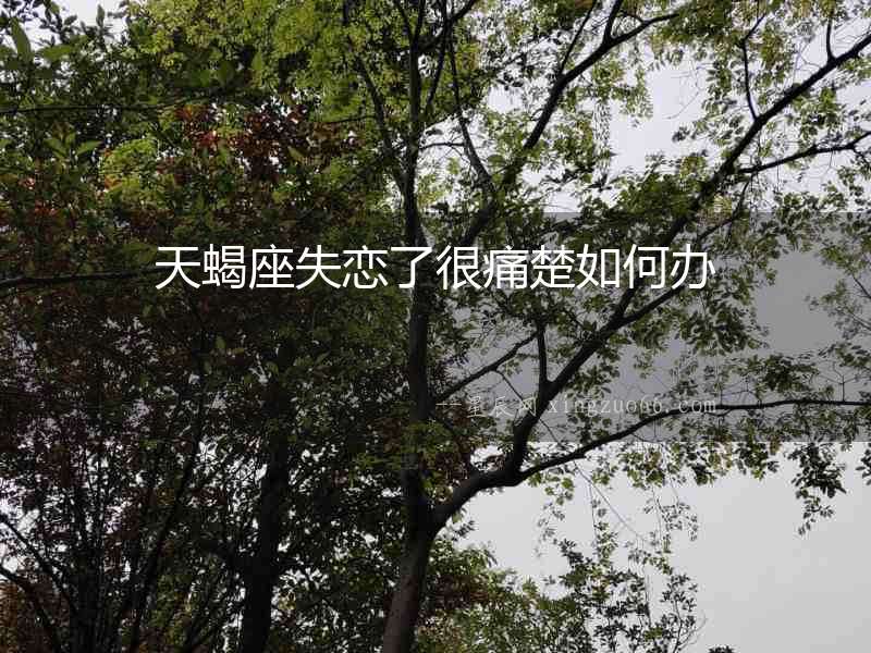 天蝎座失戀了很痛楚如何辦