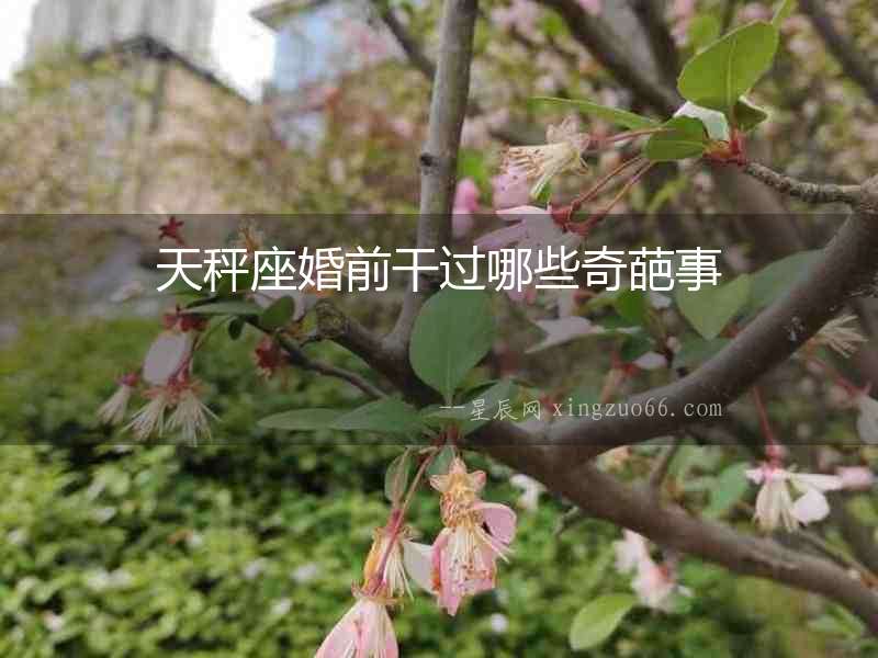 天秤座婚前干過哪些奇葩事