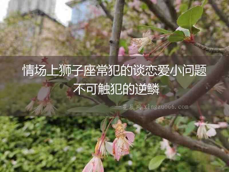 情場上獅子座常犯的談戀愛小問題 不可觸犯的逆鱗