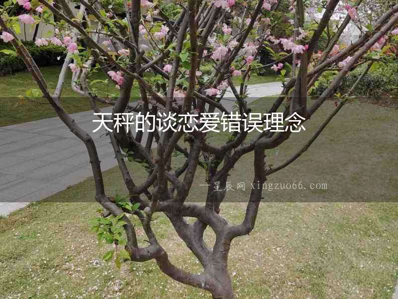 天秤的談戀愛錯(cuò)誤理念