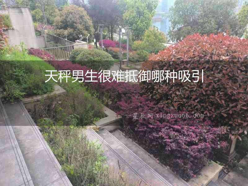 天秤男生很難抵御哪種吸引