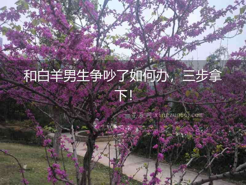 和白羊男生爭吵了如何辦，三步拿下！