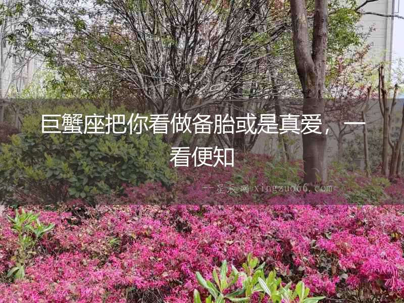 巨蟹座把你看做備胎或是真愛，一看便知