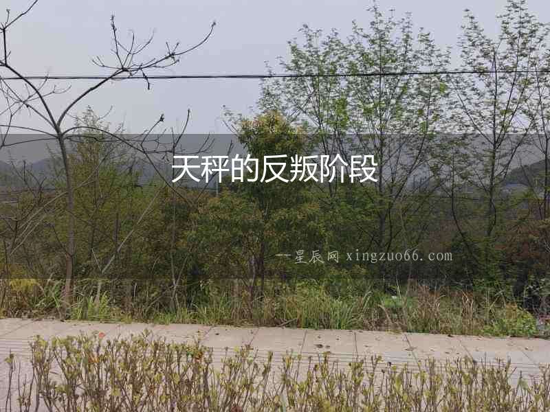 天秤的反叛階段